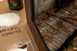 rick_mud_31